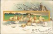 Chicks Hatching, Eggs - 1910 Embossed Easter Postcard