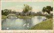Lake in Metairie Cemetery, New Orleans, LA Louisiana Pre-1907 Postcard