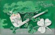 Pipe, Dear Irish Memories - Early 1900's St. Patrick's Day Embossed Postcard
