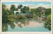 Tropical Scene at Country Club, Fort Pierce, FL Florida - Early 1900's Postcard