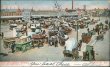 Wallabout Market, Horse Wagons, Brooklyn, NY New York 1905 Postcard