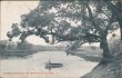Canoe on Nippersink Creek, IL Illinois - 1913 Postcard