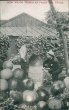 Giant Apples, How We Do Things at Palestine, TX Texas 1920 Exaggeration Postcard