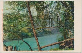 Swimming Bridge, Big Tree Grove, Santa Cruz, CA Pre-1907 Postcard