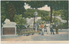 Corner of Central Park, Havana, CUBA Early 1900s Postcard