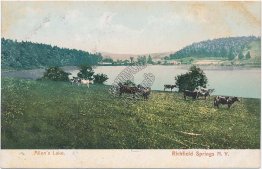 Allen's Lake, Richfield Springs, NY Pre-1907 Postcard