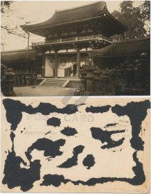 Kasuga Shrine, Nara, Japan - Early 1900's Real Photo RP Postcard