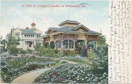 Paul de Longpre Garden, Hollywood, CA California Pre-1907 Postcard