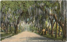 North Ridgewood Ave., Daytona, FL Florida - Early 1900's Postcard