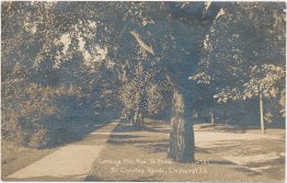 Cottage Hill Ave., St. Charles Road, Elmhurst, IL Illinois RP Photo Postcard