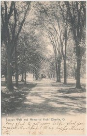 Tappan Walk & Memorial Arch, Oberlin, OH Ohio 1907 Postcard