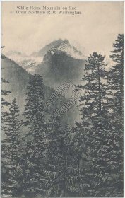 White Horse Mt. Mountain, Great Northern R.R., Washington Early 1900's Postcard