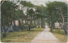 Shell Road, Seaside, OR Oregon - 1911 Postcard