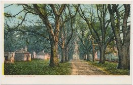 The Hermitage, Savannah, GA Georgia Pre-1907 DETROIT PUBLISHING CO. Postcard