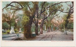 Bonaventure Cemetery, Savannah, GA Georgia Pre-1907 DETROIT PUBLISHING Postcard