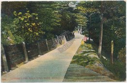 Lovers Lane, Macatawa Park, MI Michigan - Early 1900's Postcard