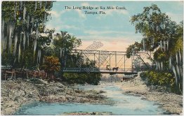 Long Bridge, Six Mile Creek, Tampa, FL Florida - Early 1900's Postcard