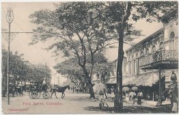 York Street, Colombo, Ceylon Sri Lanka - Early 1900's Postcard