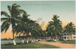 Palm Avenue, Cristobal, Canal Zone, Panama - Early 1900's Postcard