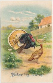 Turkey, Nature Scene, Thanksgiving Greetings - Embossed 1912 German Postcard