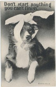Sick Dog w/ Headache, Head Compress - Early 1900's Postcard