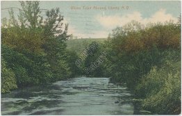 Trout Fish Abound, Liberty, NY New York 1911 Postcard