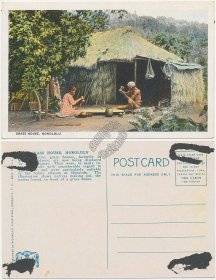 Grass House, Honolulu, Hawaii HI - Early 1900's Postcard