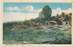 Military Trench Drill, Camp Upton, Long Island LI, NY - Early 1900's Postcard
