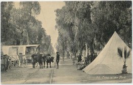 Camp in Park, Ontario, CA California - Ezra Meeker Early 1900's Postcard