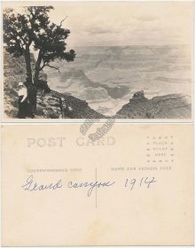 Grand Canyon of Yellowstone, WY - Early 1900's Real Photo RP Postcard