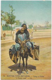 Egyptian Boy Riding Mule, Going to Market, Egypt - Early 1900's Postcard