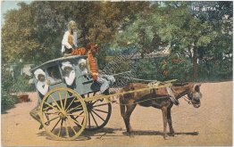 The Jutka, Horse Drawn Carriage / Tanga, Madras, India - Early 1900's Postcard