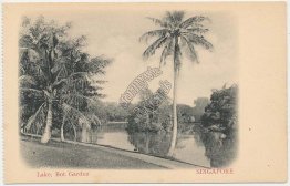 Lake, Botanical Garden, Singapore - Early 1900's Postcard