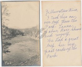 Yellowstone River, Park, WY Wyoming - Early 1900's RP Photo Card