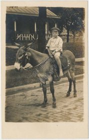 Boy Riding a Mule, Donkey - Early 1900's Real Photo RP Postcard