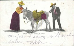 Mule, Donkey - Drop Your Nickel Please, Pre-1907 Burro Series Postcard