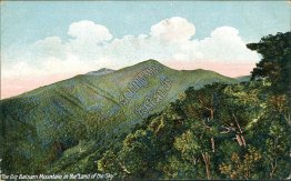 Big Balsam Mountain, Land of the Sky, NC North Carolina - 1910 Postcard