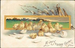 Chicks Hatching, Eggs - 1910 Embossed Easter Postcard
