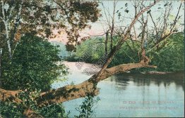 Swannanoa Above Biltmore, NC North Carolina - Early 1900's Postcard