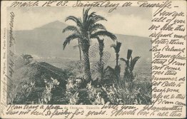 Orotava Valley, Tenerife, Spain 1903 Postcard