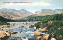 Trout Stream, Big Horn Mts., WY Wyoming - 1909 Postcard