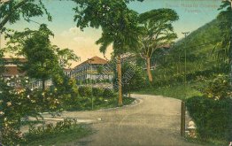 Ancon Hospital Grounds, Panama - Early 1900's Postcard