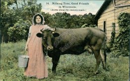 Woman Milking Cow, Wisconsin WI - Early 1900's Postcard
