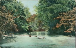 Fishing on Swannanoa River, NC North Carolina - Early 1900's Postcard