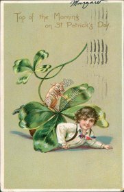 Little Pig, Boy Under Clover Leaf, St. Patrick's Day Pre-1907 TUCK Postcard