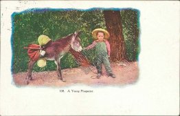 Young Mule, Donkey, Boy, Florissant, CO Colorado 1907 Embossed Postcard
