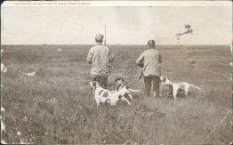 Chicken Shooting, Hunting in NW, Caldwell, ID Idaho 1906 Postcard