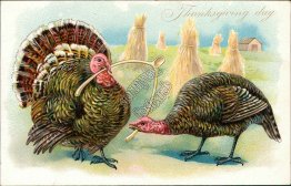 2 Turkeys Breaking Wishbone - Early 1900's Thanksgiving Embossed TUCK Postcard
