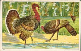 2 Turkerys, Thanksgiving Day, Julius Bien Embossed 1908 Postcard