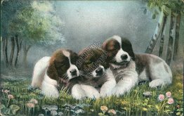 Three Puppy Dogs, Outdoor Scene - 1906 German Postcard